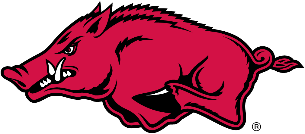 Arkansas Razorbacks 2001-Pres Alternate Logo DIY iron on transfer (heat transfer)